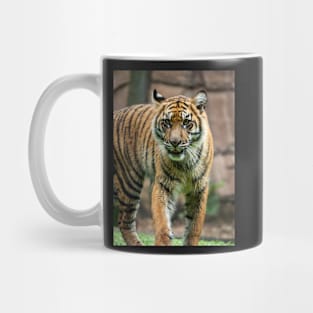 Eye To Eye With a Sumatran Tiger Mug